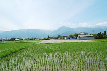 池田町会染1,600-写真6