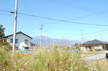 池田町会染 280-写真7