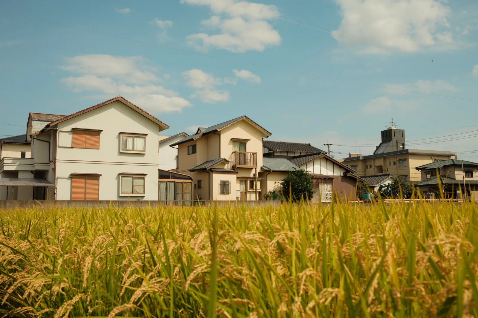 田園と住宅が広がる日本の里の風景